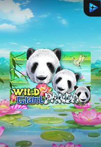 Bocoran RTP Wild Giant Panda di Shibatoto Generator RTP Terbaik dan Terlengkap